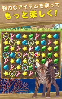 ねこ島日記 猫と島で暮らす猫のパズルゲーム Screen Shot 2