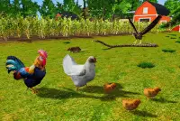 Rooster Simulator - Chick Life Screen Shot 2