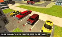 3D Limo Auto Parkplatz Screen Shot 4