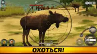 Wild Hunt: Охота на животных Screen Shot 5