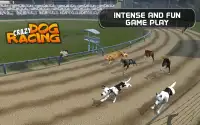 Crazy Dog Racing Screen Shot 6