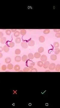 MedBio - Medicinal Biology Screen Shot 2
