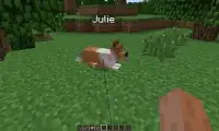 Mod Dogs for MCPE Screen Shot 2