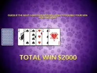 Casino Cash Cats Kitty Game Vegas Slots Machine Screen Shot 6