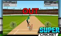 Super Cricket Championship Screen Shot 3