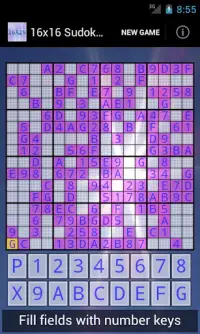 16x16 Sudoku Challenge HD Screen Shot 0