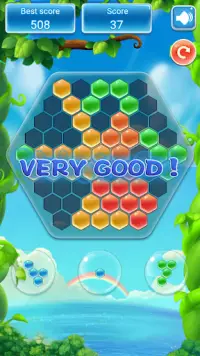 Hexagon Block Puzzle - Hex Match & Magic Tiles Screen Shot 1