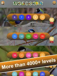 Word Soar - Fun Puzzle Game Screen Shot 13