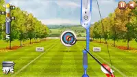 Archery Challenge Screen Shot 3