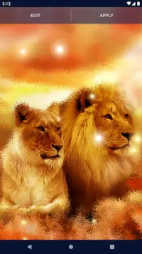 Brave Lion Live Wallpaper Screen Shot 5