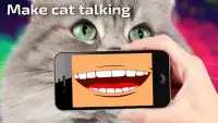 Talking Cat Translator PRO Screen Shot 2