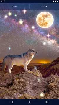 Night Wolf Live Wallpaper Screen Shot 5