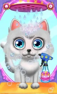 Crazy Hair Salon Cat Makeover Screen Shot 3