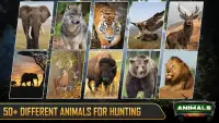 hunting games:हिरण शिकारी Screen Shot 0