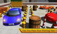 Parking Master Sim 2018 Screen Shot 0