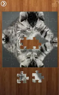 Reflection Jigsaw Puzzles Screen Shot 8
