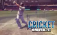 Cricket Champion League - New Cricket Game Screen Shot 3