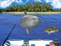 Fishing Challenge Superstars 2 Screen Shot 1
