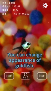 Goldfish Dream　goldfish scoop & goldfish breeding Screen Shot 4