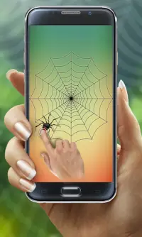 Spider Web Out Screen Shot 1