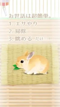 癒しのウサギ育成ゲーム Screen Shot 4