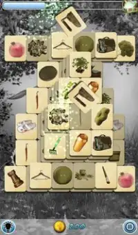 Hidden Mahjong: Mother Nature Screen Shot 3