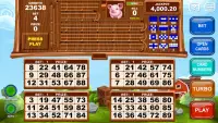 Video Bingo Little Farm Screen Shot 2