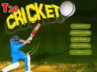 T20 Cricket Challenge Screen Shot 0