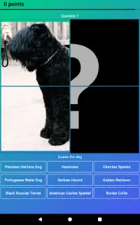 Dog Quiz: Guess the Breed — Game, Pictures, Test Screen Shot 13