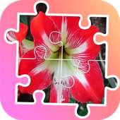 Puzzle de flores