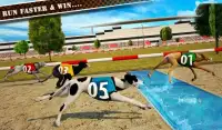 Dog Race & Stunts 2016 Screen Shot 10