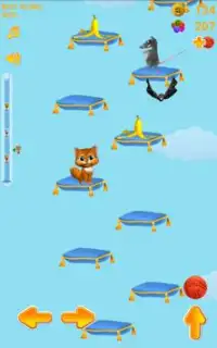 Jumpy Kitty Cat - Jumping Game Screen Shot 5