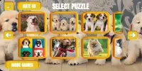 Dogs & puppies jigsaw puzzles Screen Shot 4