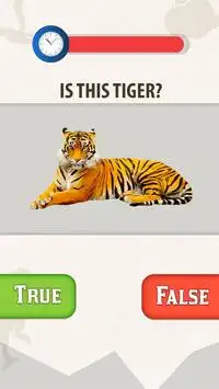 Animal QuizLand Trivia Game: Mammals Crack Quiz Screen Shot 3