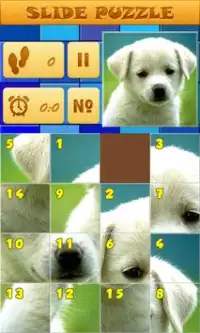 Fast Puzzle 11 Screen Shot 4