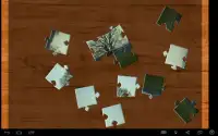 Jigsaw Puzzle grátis Screen Shot 3
