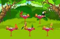 🐯 The Adventure Zoo Games: Animal Park Bird Game Screen Shot 2