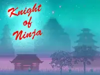 Knight of Ninja Screen Shot 1