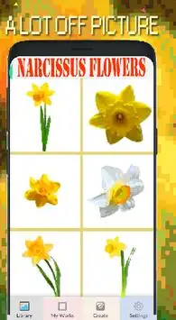 Narcissus Flowers Color By Number-Pixel Art 2020 Screen Shot 1