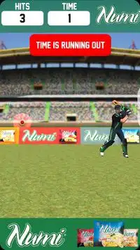 Numi Cricket Ultimate Challenge Screen Shot 1