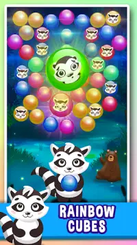 Raccoon Boom – Bubble Shooter Pop !! Screen Shot 2