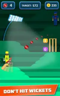 Mr. Bat: The Cricket Game Screen Shot 5