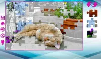 Große Puzzle mit Katzen Screen Shot 2