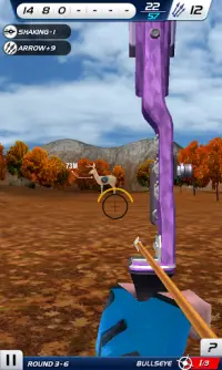 Archery World Champion 3D Screen Shot 3