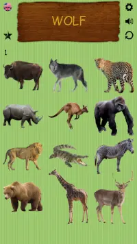 Wild Animals - Learning Name of Animals Screen Shot 3