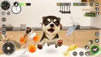 Dog Simulator Pet Dog Games 3D Screen Shot 4