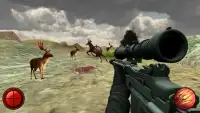 Deer Hunting Deluxe - Safari Wildlife Games Screen Shot 3
