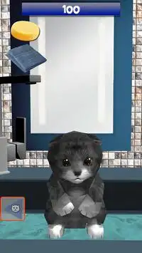 Homeless Cat : take care this virtual pet Screen Shot 9