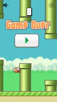 Flappy Bird Pro Screen Shot 4