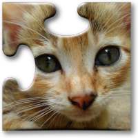 Kucing teka-teki untuk kanak-k